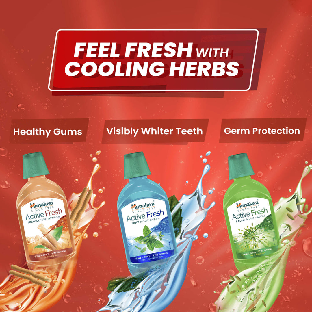 Himalaya Mouth Fresh Collection