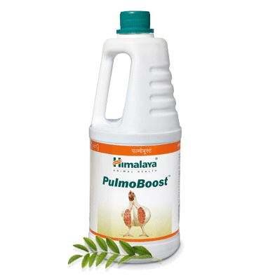 Himalaya Pulmo Boost - For healthy airways in birds