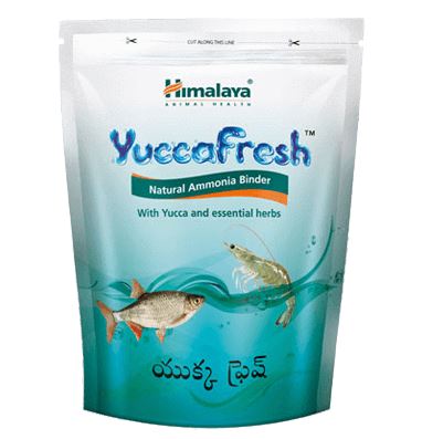 Himalaya Yucca fresh 1 kg - Natural ammonia binder